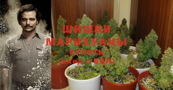 стафф Тайга